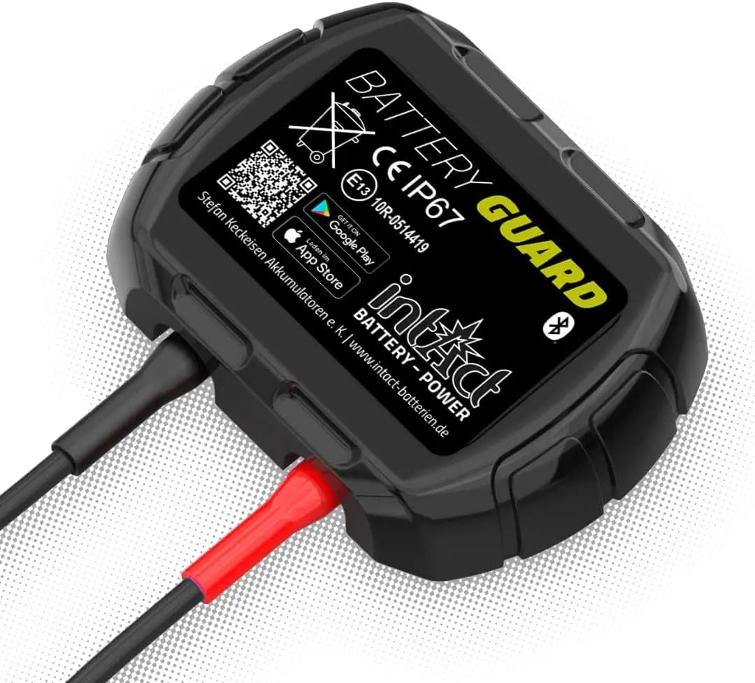 IntAct: batteria. Per alimentare apparecchi compatibili con le specifiche del modello. Tensione: 12 V. Caratteristiche del modello: Bluetooth.