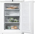 Miele F 12020 S-3 - Mini: congelatore. Per la conservazione degli alimenti congelati. Capacit¨¤: 104 L.