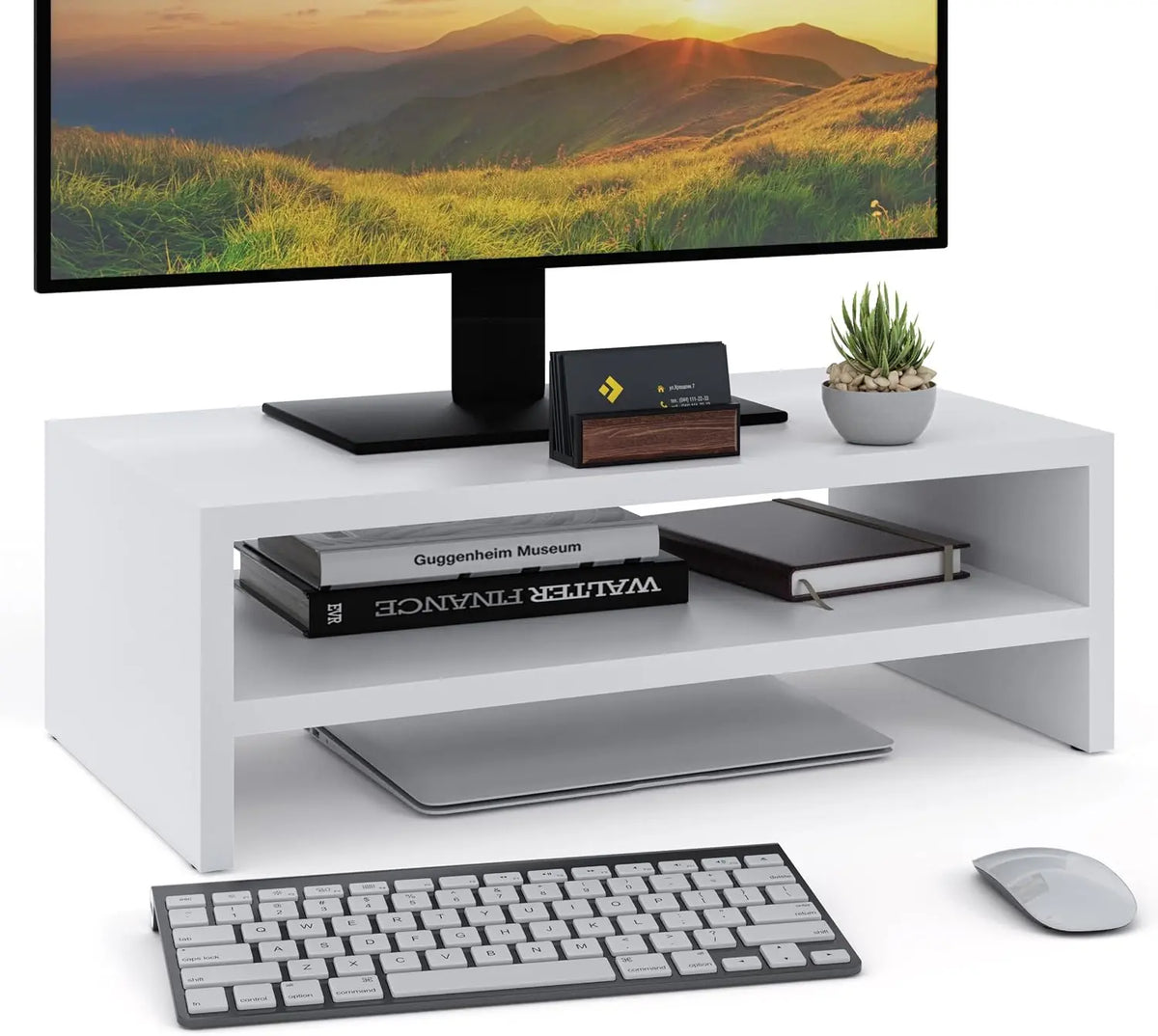 Monitor. Per la visualizzazione di immagini e contenuti digitali. Colorazione indicata: Bianco.